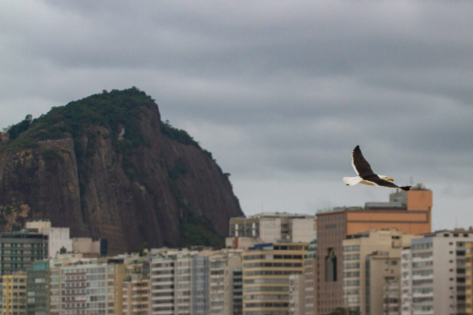 Previsão do tempo neste domingo (5) na Praia de Copacabana, na Zona Sul do Rio - Érica Martin/Agência O Dia