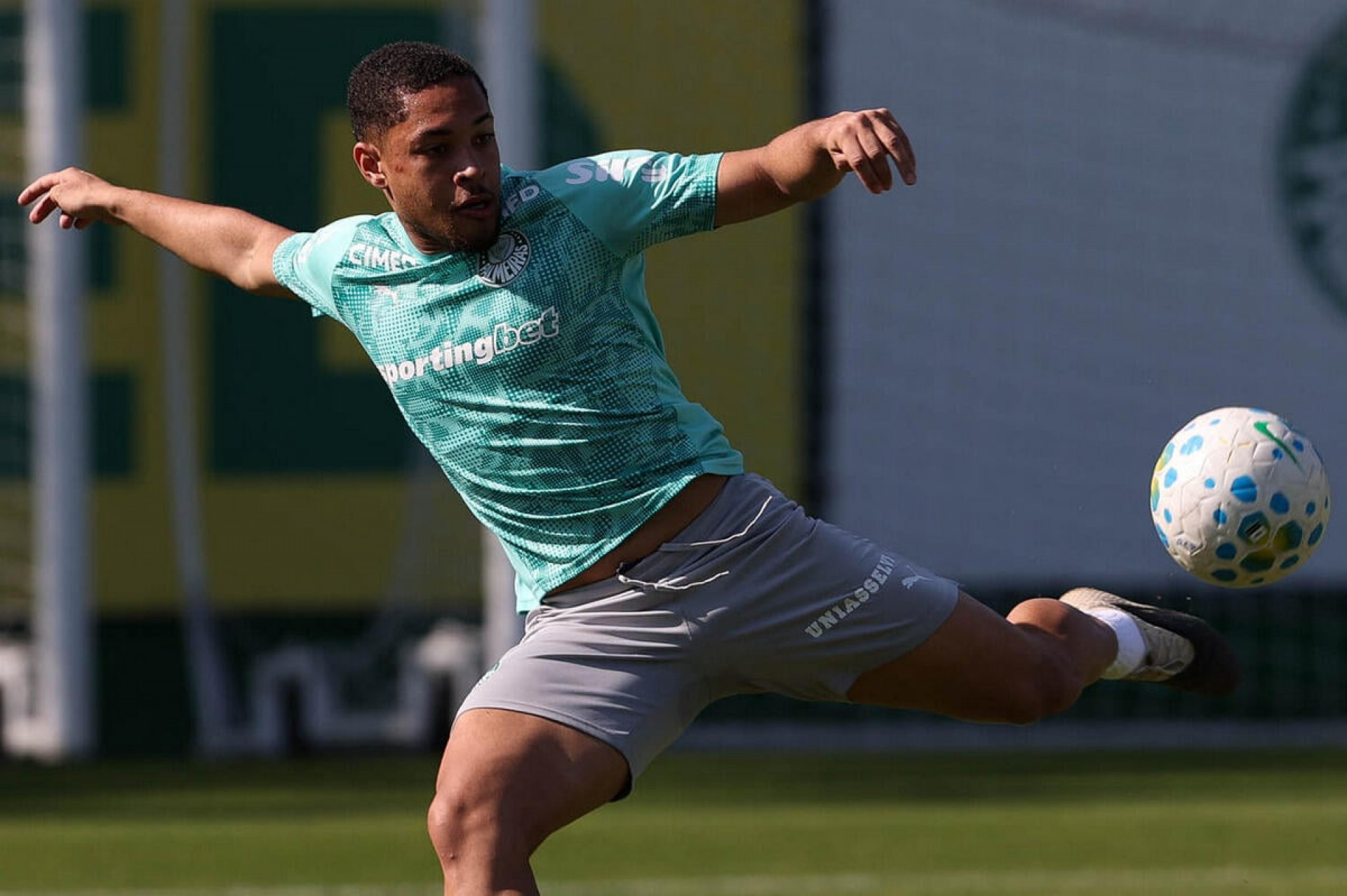 Vitor Roque inicia transi&ccedil;&atilde;o f&iacute;sica no Palmeiras