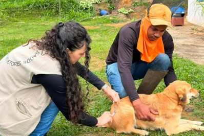Campanha de vacinação antirrábica imuniza mais de 1200 animais em Vargem Alegre