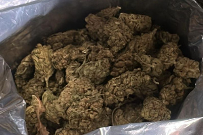 PRF apreende mais de meia tonelada de maconha em Magé