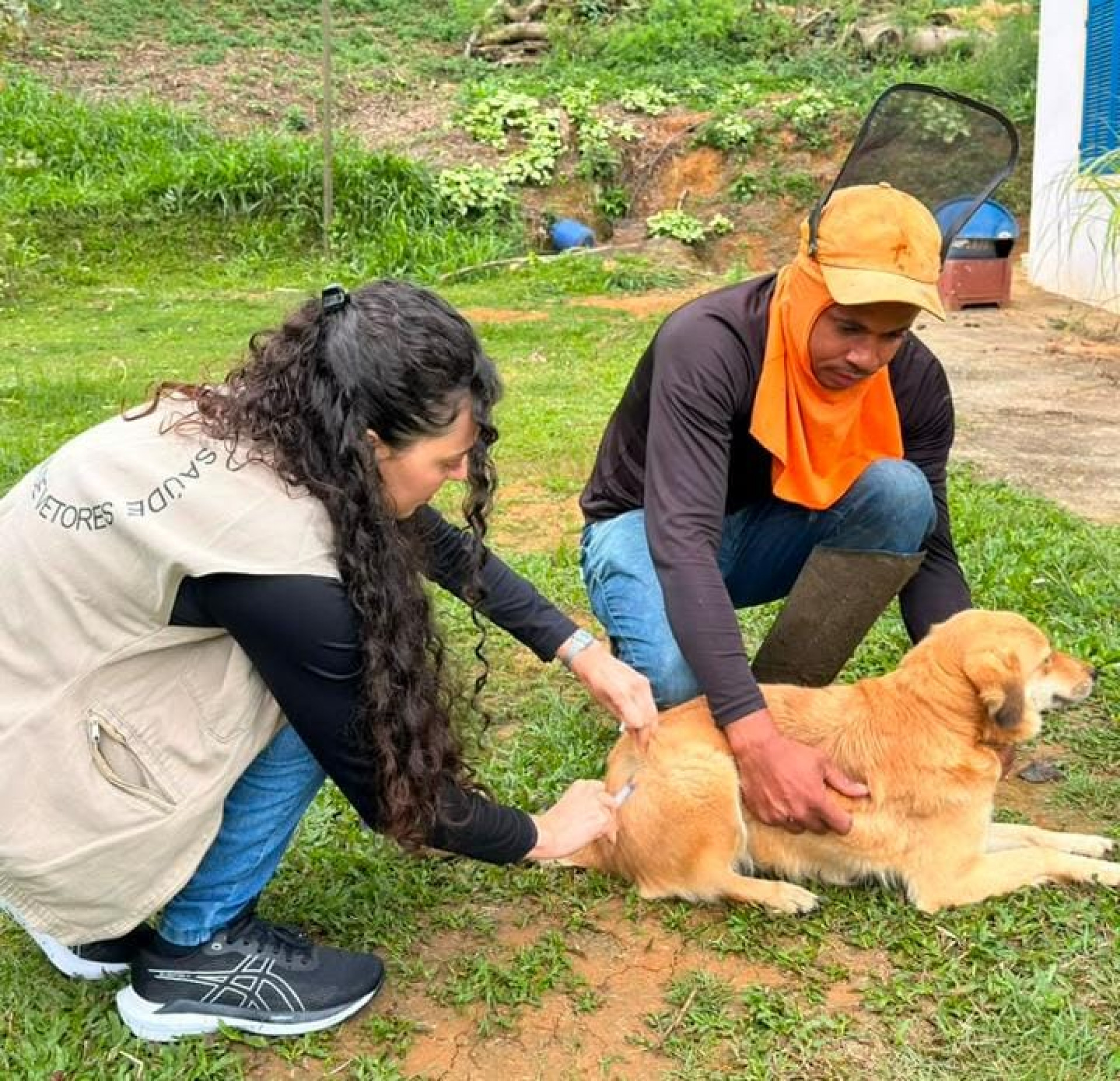 Campanha de vacinação antirrábica imuniza mais de 1200 animais em Vargem Alegre