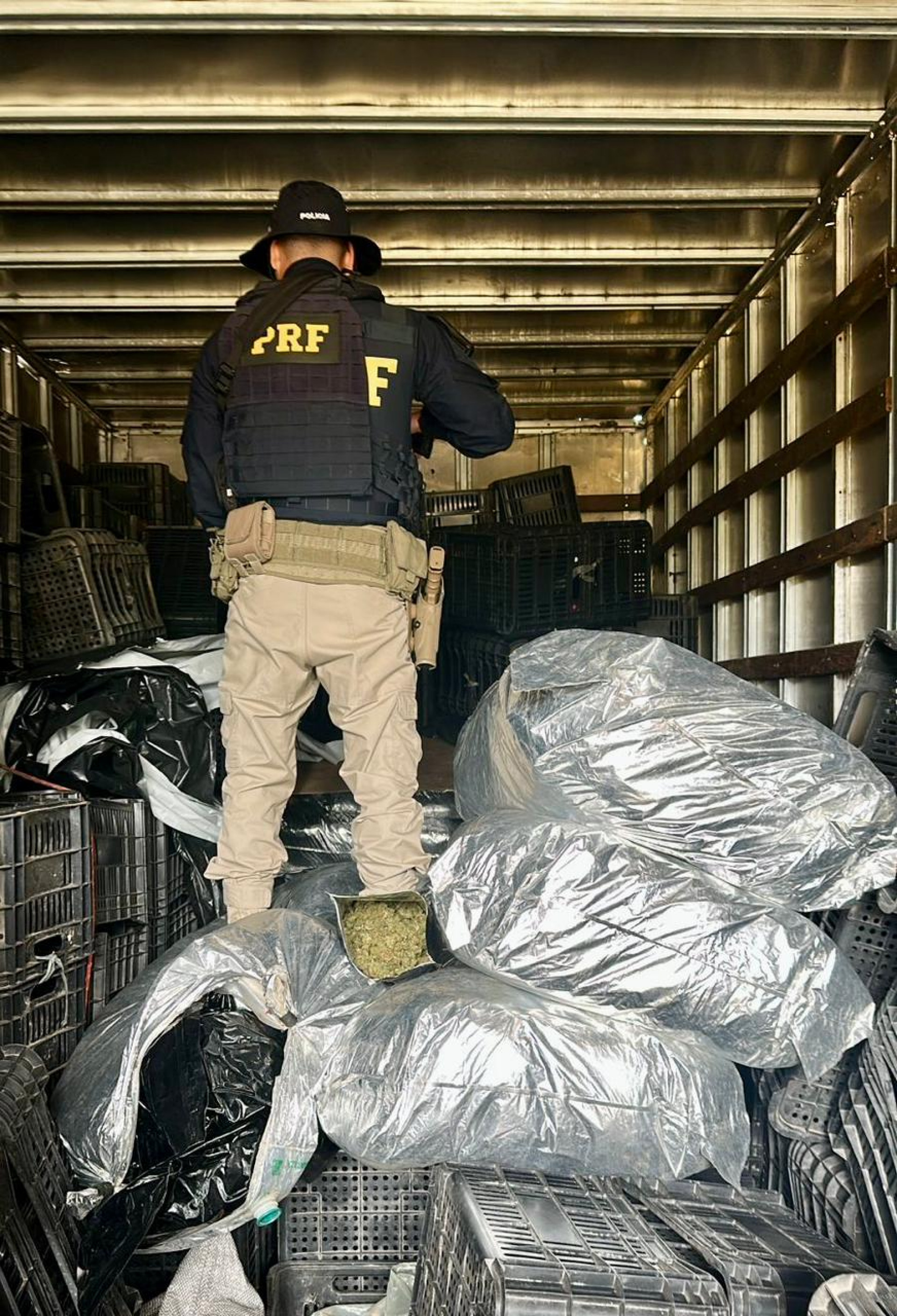 Agentes da PRF apreendem mais de 500 quilos de maconha em Magé - Divulgação/PRF