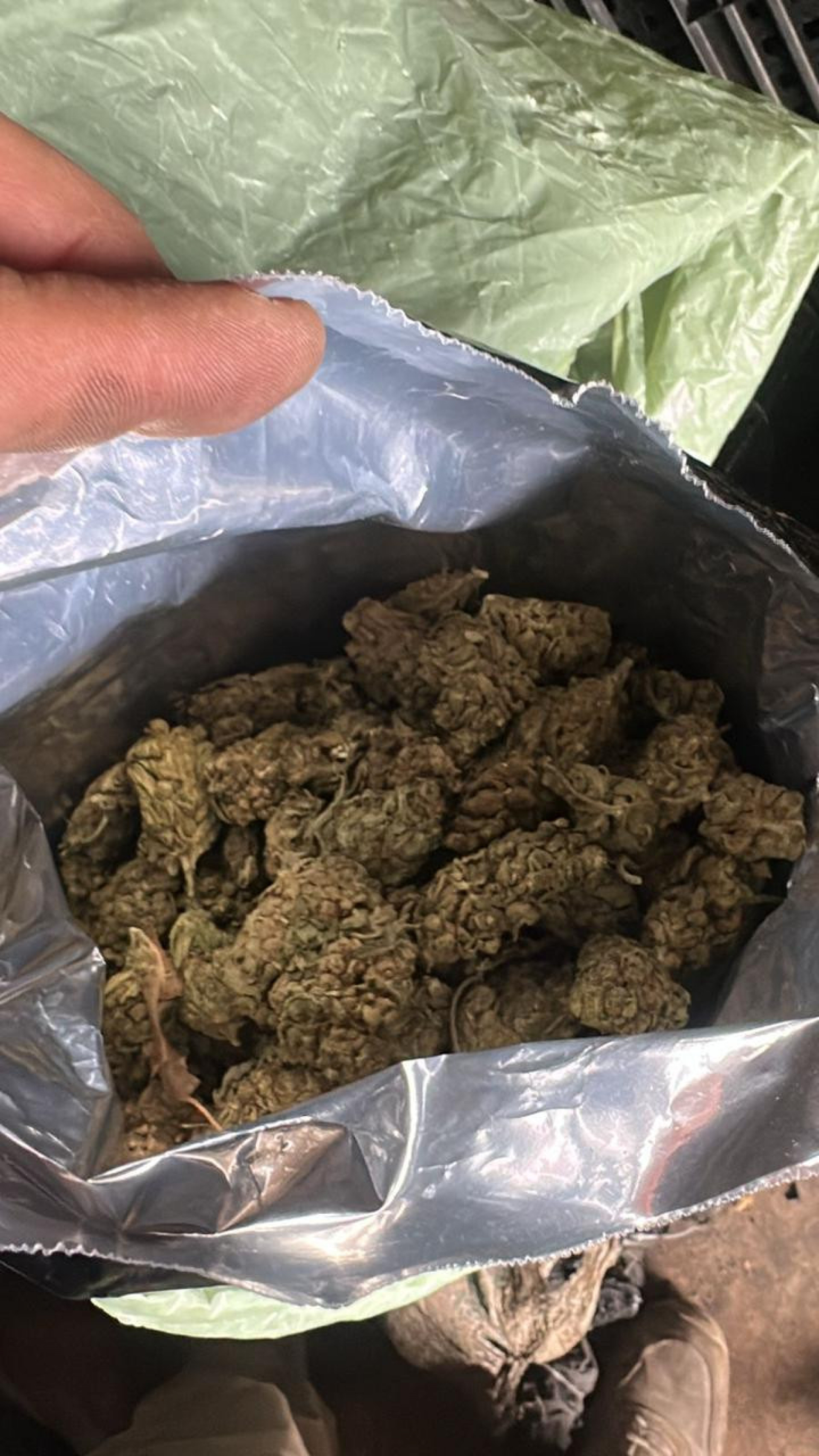 Agentes da PRF apreendem mais de 500 quilos de maconha em Magé - Divulgação/PRF