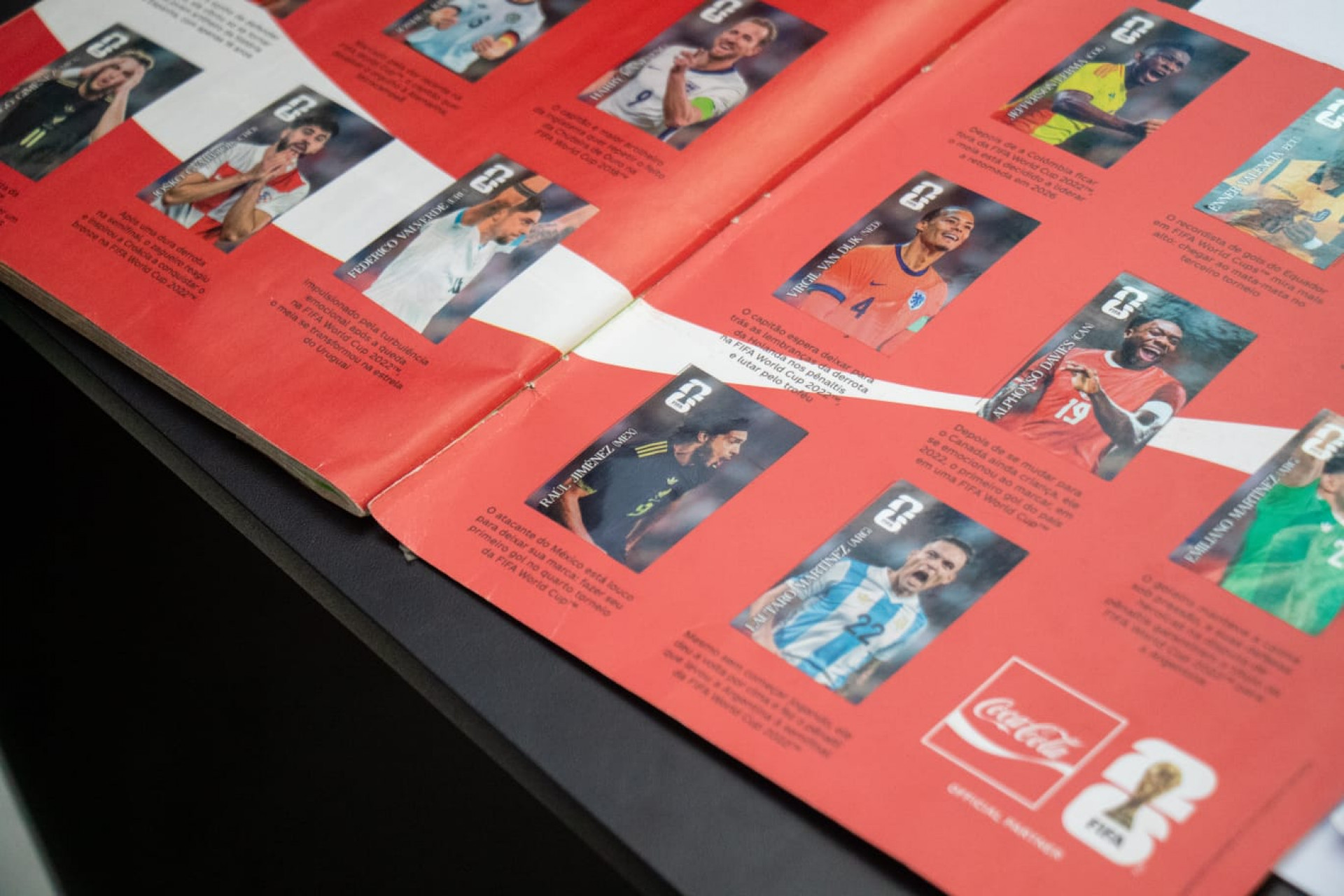 Colecionadores apostam nas trocas de figurinhas para completar o álbum da Copa do Mundo - Érica Martin / Agência O DIA