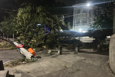 Fortes ventos provocam quedas de árvores em diversos pontos do Rio