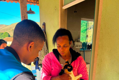 Barra do Piraí amplia cobertura da vacinação antirrábica e ultrapassa 4,5 mil animais imunizados