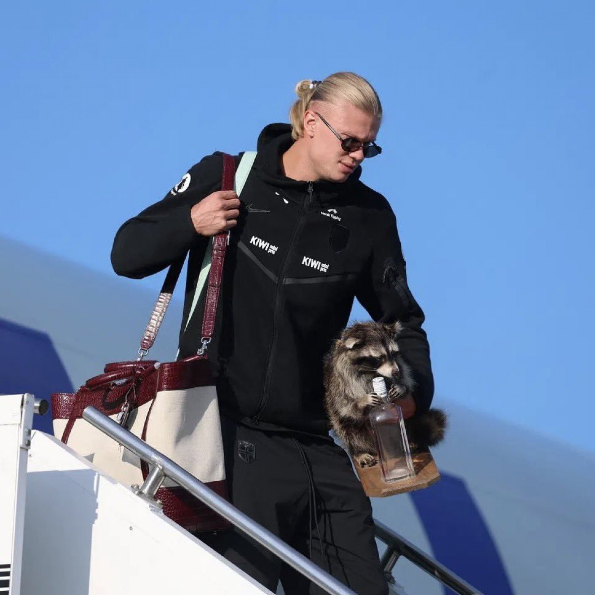 Haaland desembarcou do avião com um guaxinim de pelúcia - Reprodução / Instagram @Herrelandslaget
