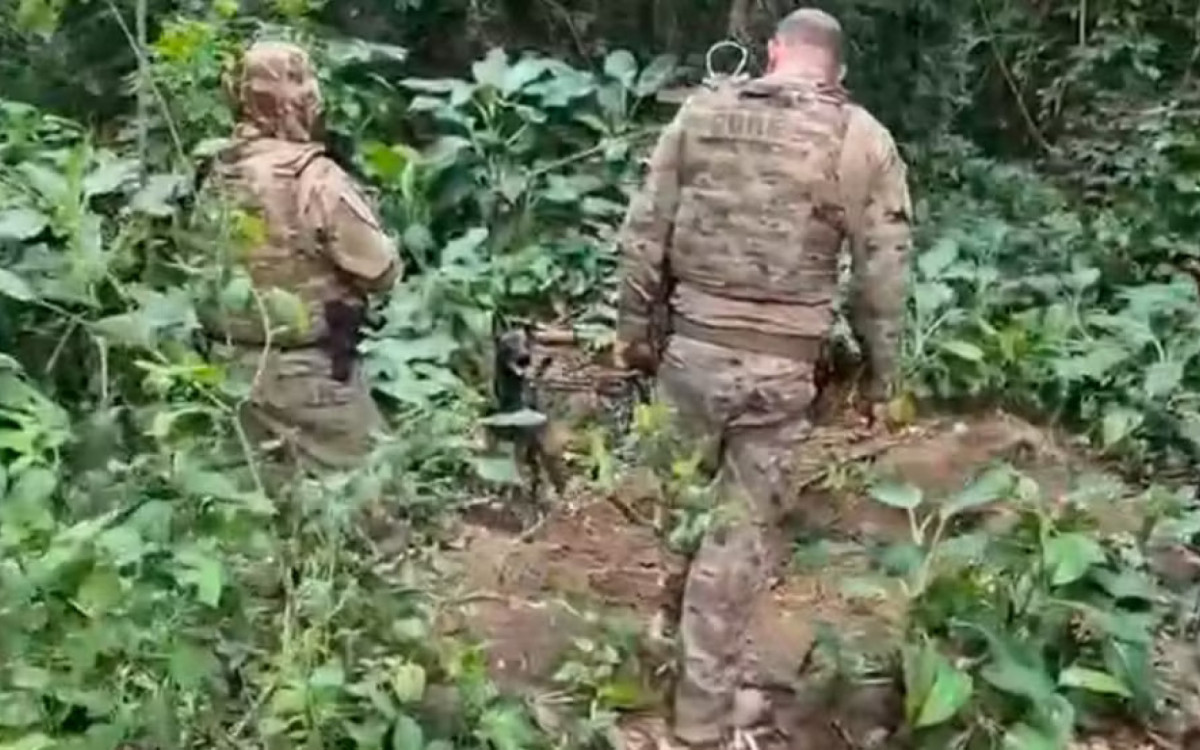 Local suspeito de funcionar como cemitério clandestino foi localizado por cães farejadores da Core