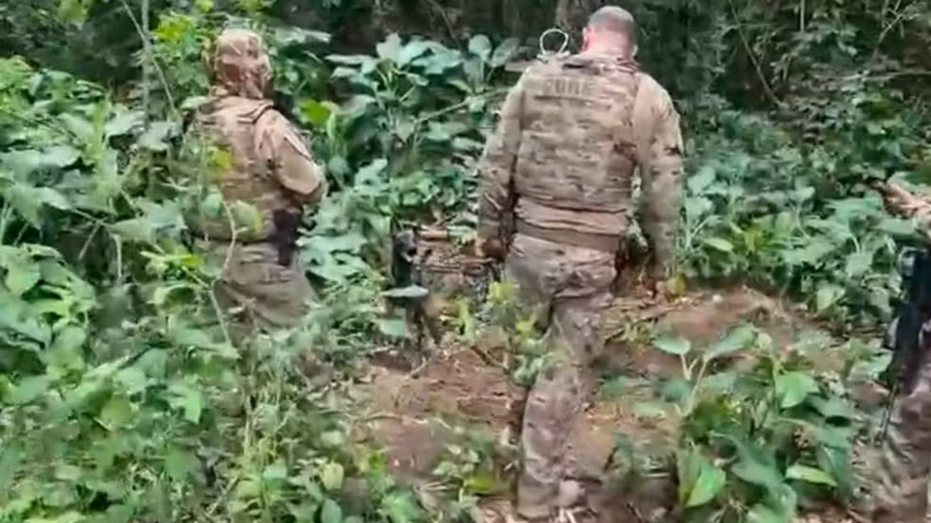 Local suspeito de funcionar como cemit&eacute;rio clandestino foi localizado por c&atilde;es farejadores da Core