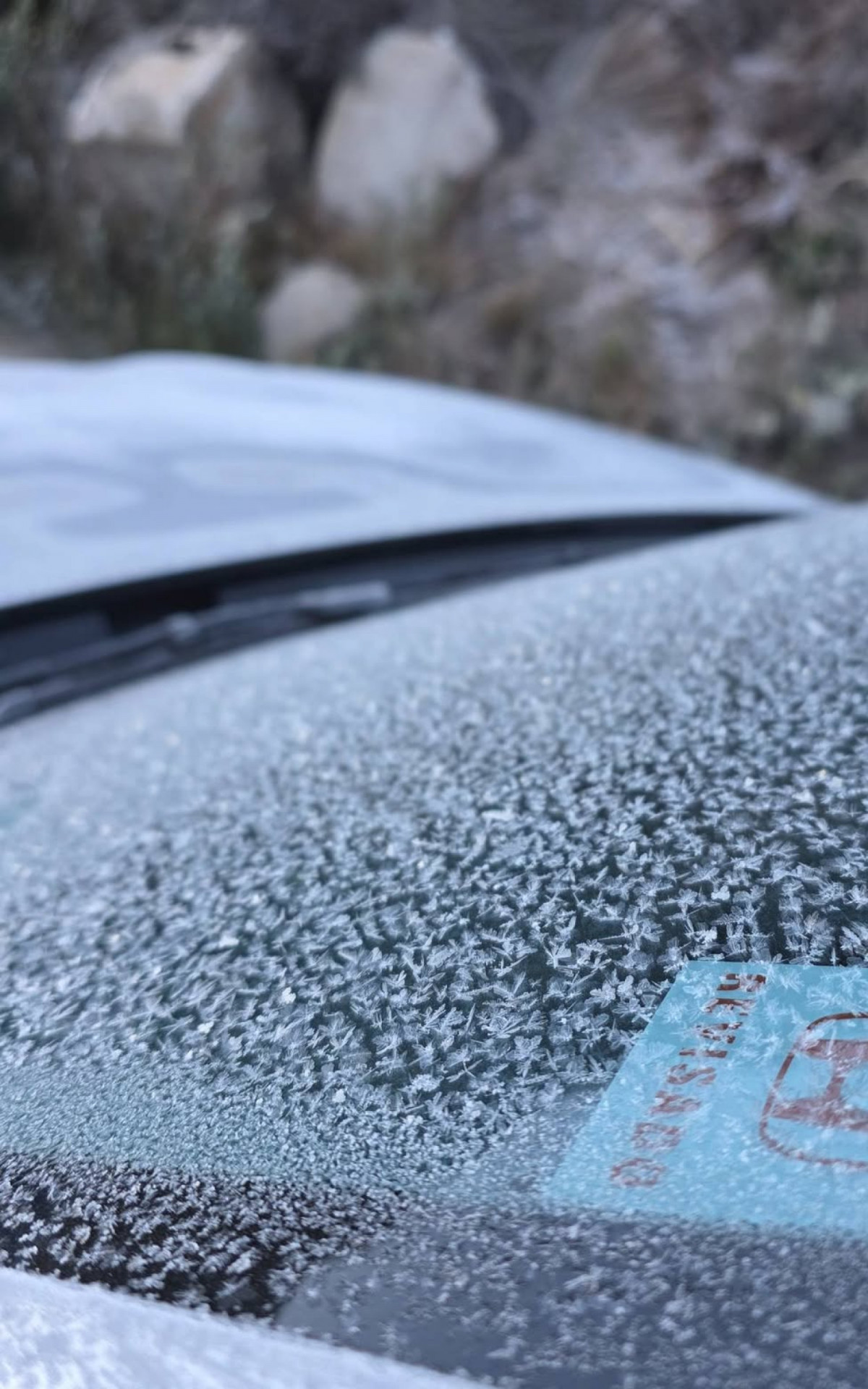 Parque Nacional do Itatiaia bateu recorde de frio e teve paisagens congeladas - Divulga&ccedil;&atilde;o/Parque Nacional do Itatiaia 