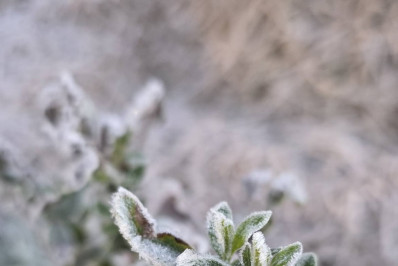 Frio bate recorde no Rio; veja a previsão para os próximos dias
