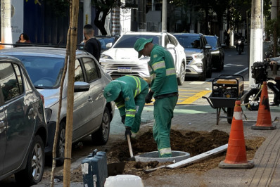 Árvores são retiradas na rua Presidente Backer