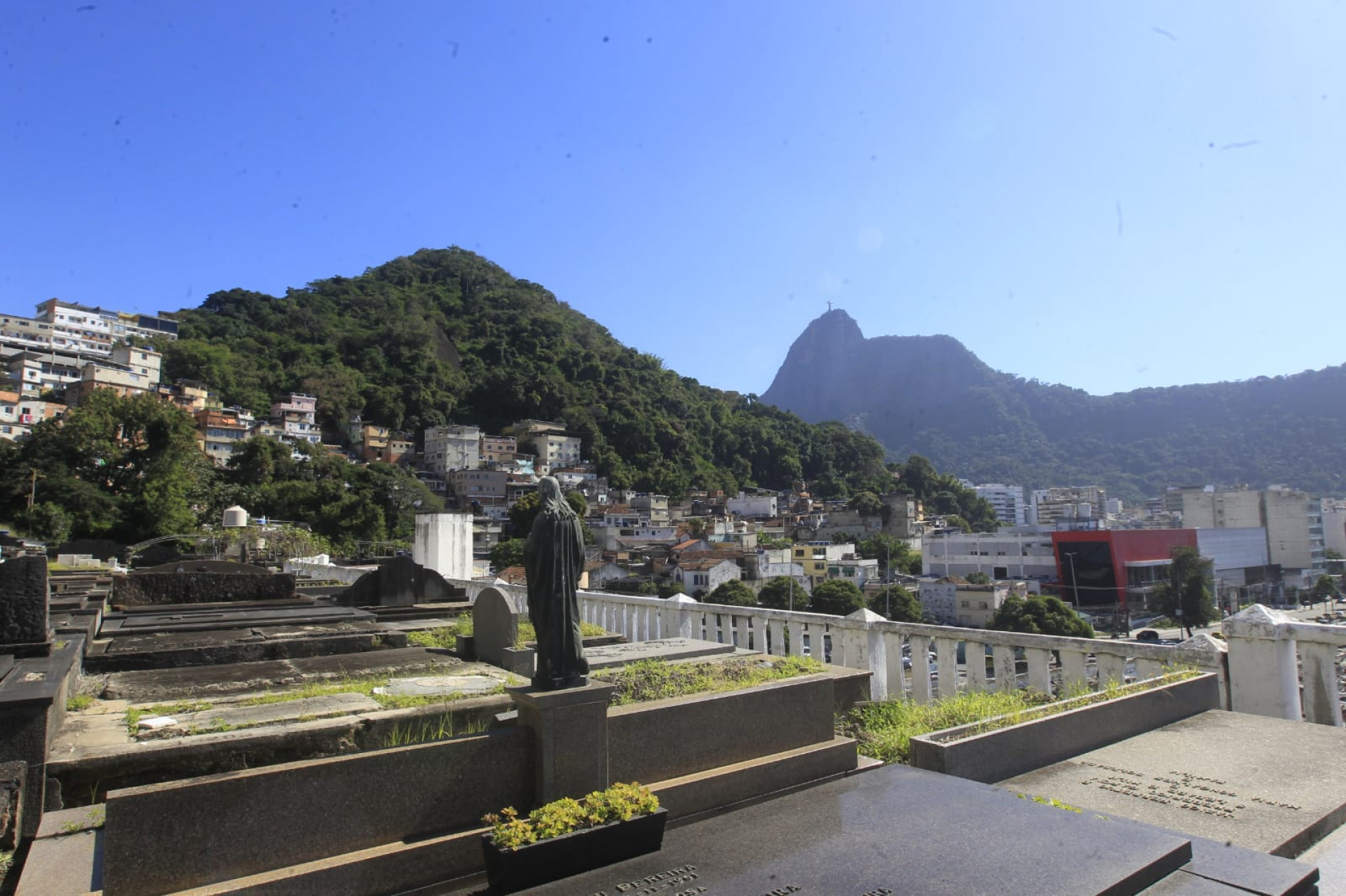 Despedida de Pedro Ely Cordeiro dos Santos aconteceu no Cemitério São João Batista, em Botafogo - Reginaldo Pimenta / Agência O DIA