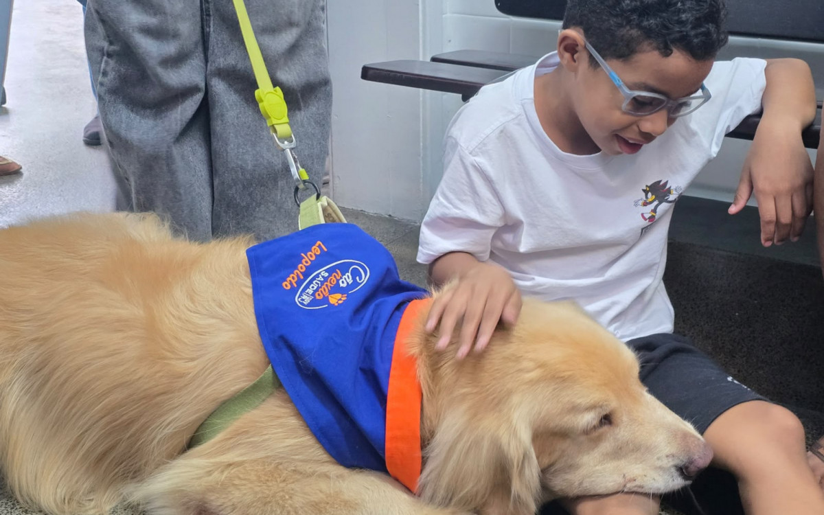Além do temperamento dócil, os cães passam por treinamento para atuar em unidades de saúde