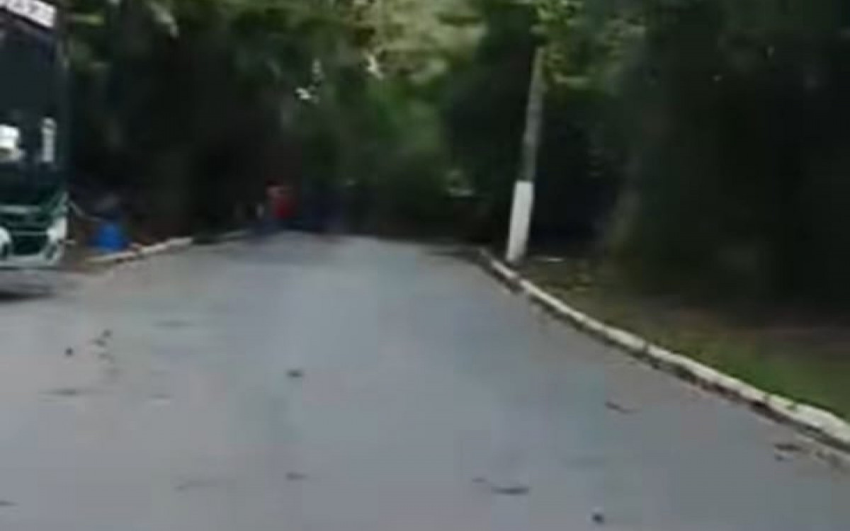 Estrada do Contorno, em Angra, queda de árvore