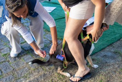 Planetário do Rio recebe ações de vacinação e microchipagem animal