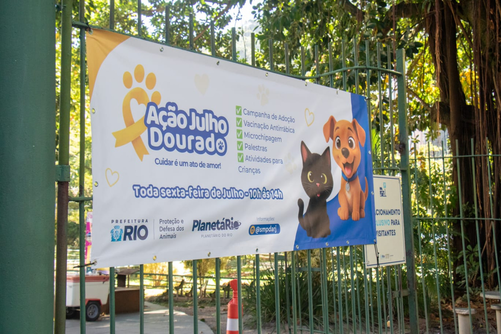 Cães e gatos podem ser vacinados e microchipados gratuitamente durante a campanha no Planetário do Rio - Érica Martin / Agência O DIA