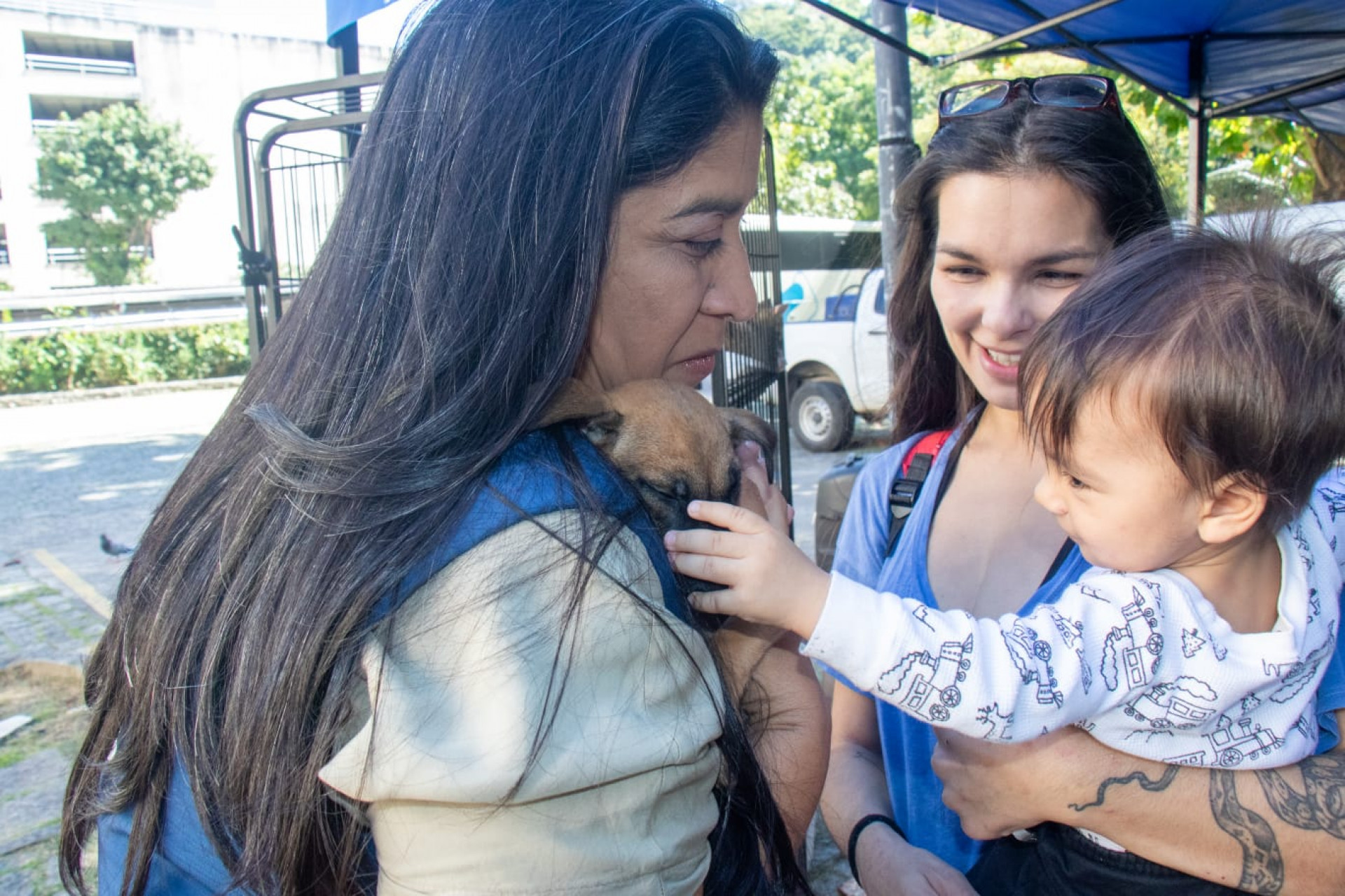 Cães e gatos podem ser vacinados e microchipados gratuitamente durante a campanha no Planetário do Rio - Érica Martin / Agência O DIA