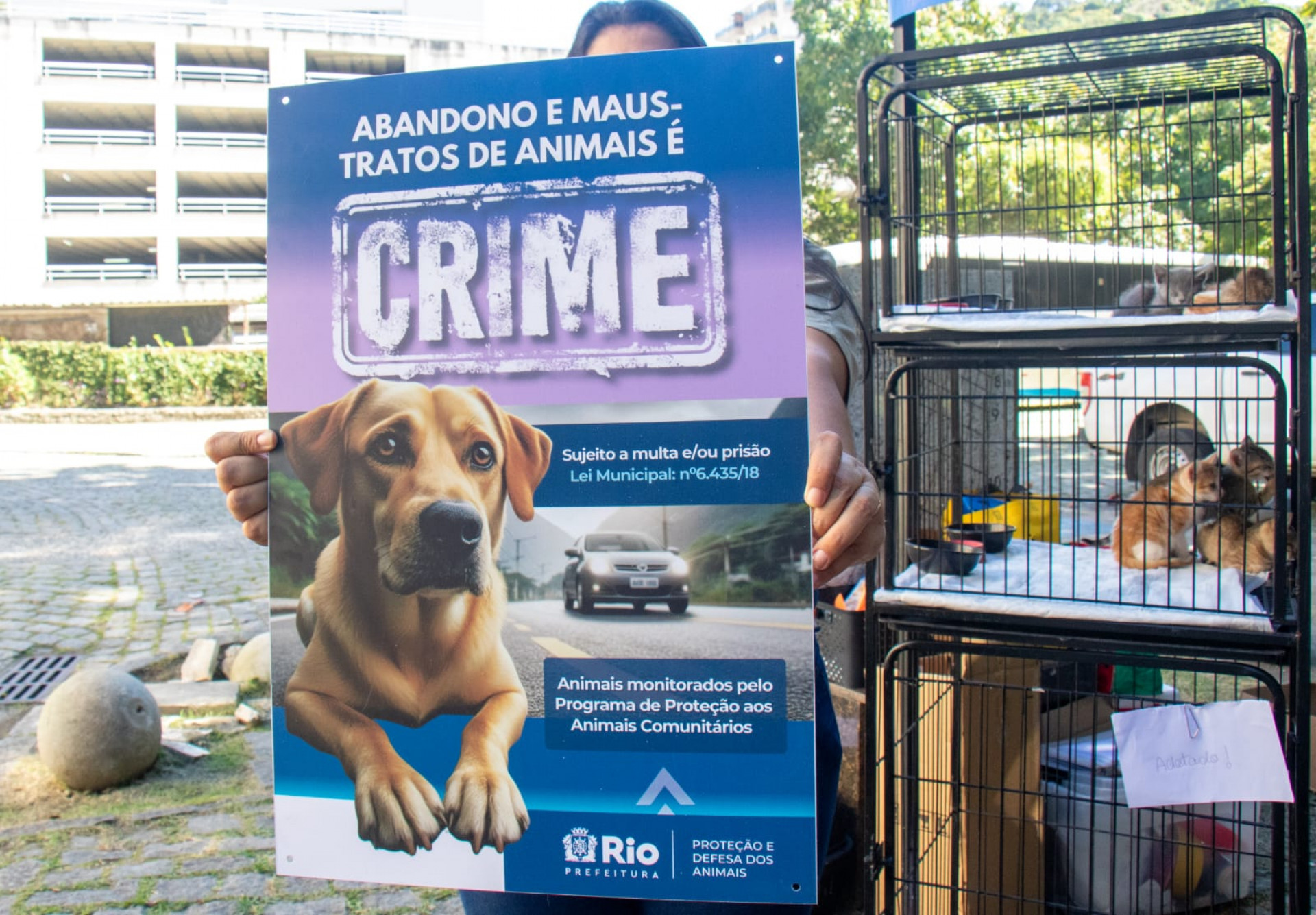 Cães e gatos podem ser vacinados e microchipados gratuitamente durante a campanha no Planetário do Rio - Érica Martin / Agência O DIA