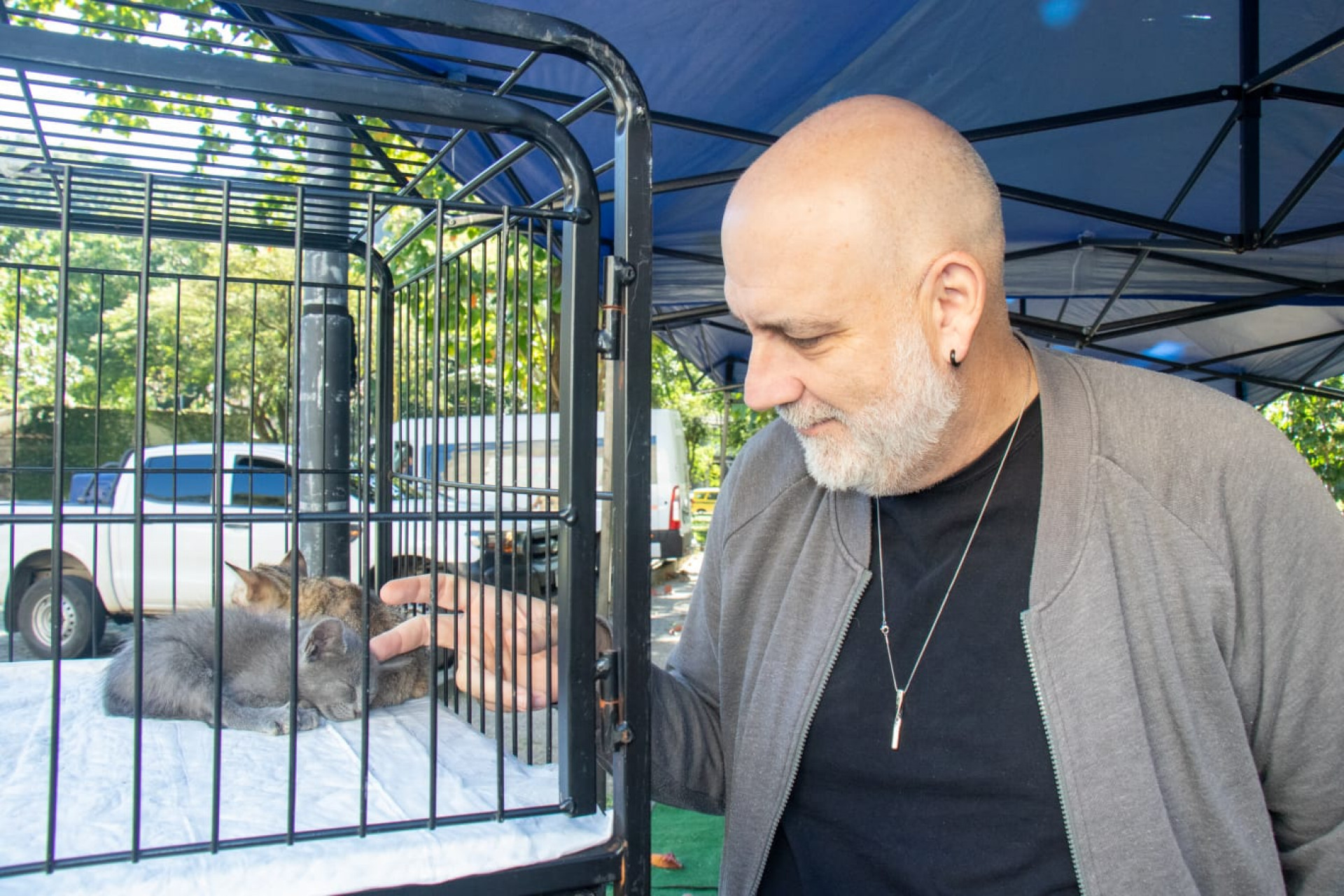 Alexandre Cherman precisou tomar vacinas após ser mordido por um cachorro na rua - Érica Martin / Agência O DIA