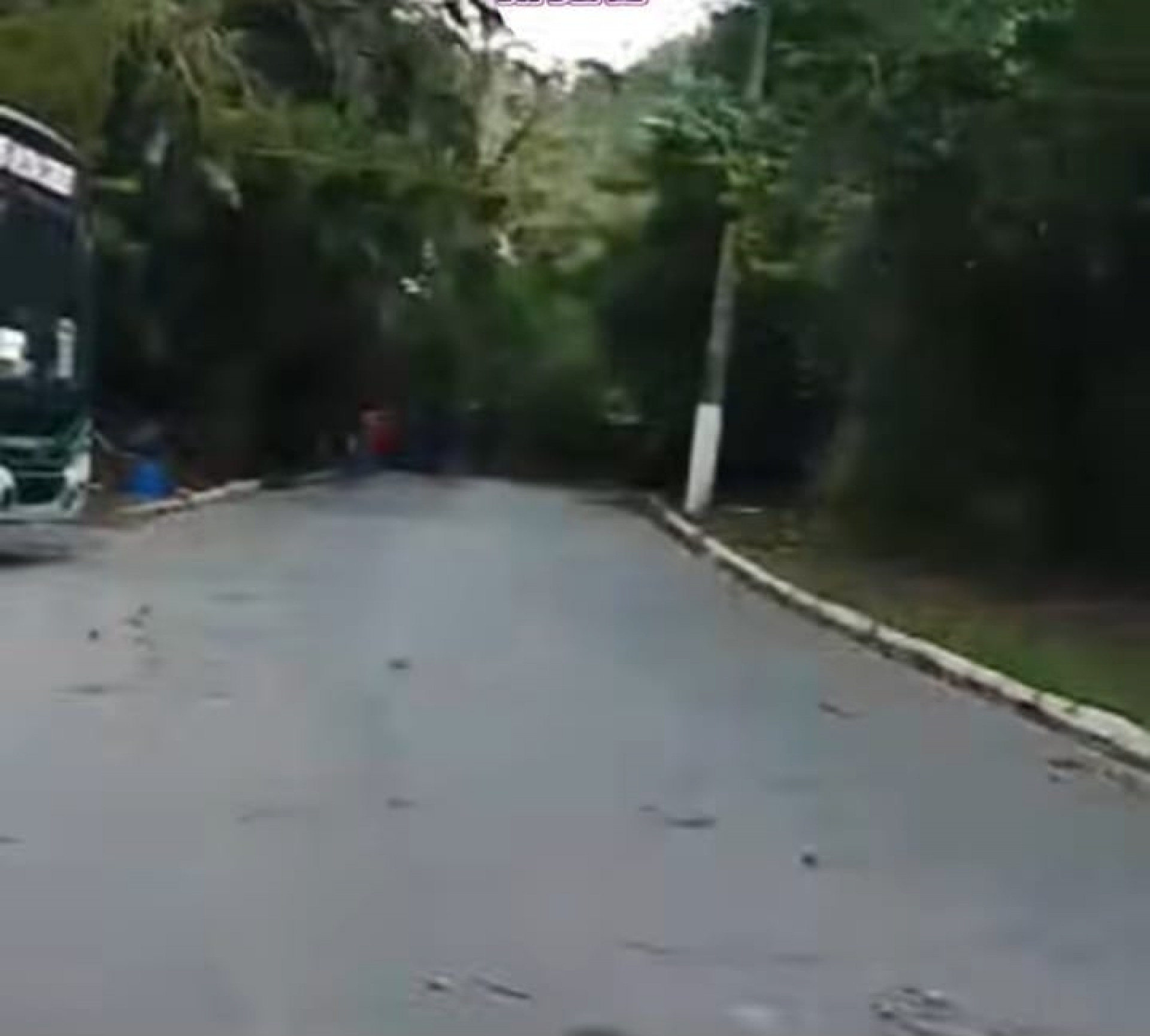 Estrada do Contorno, em Angra, queda de &aacute;rvore - Divulga&ccedil;&atilde;o/Reprodu&ccedil;&atilde;o Rede Social