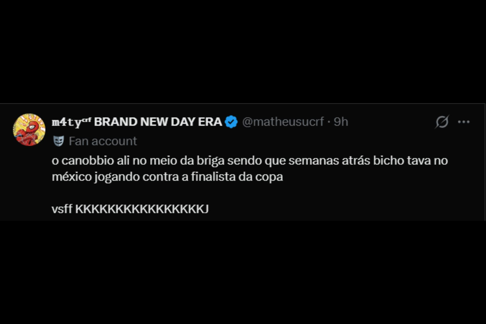 Torcedores reagem à briga em jogo do Fluminense - Reprodução / X