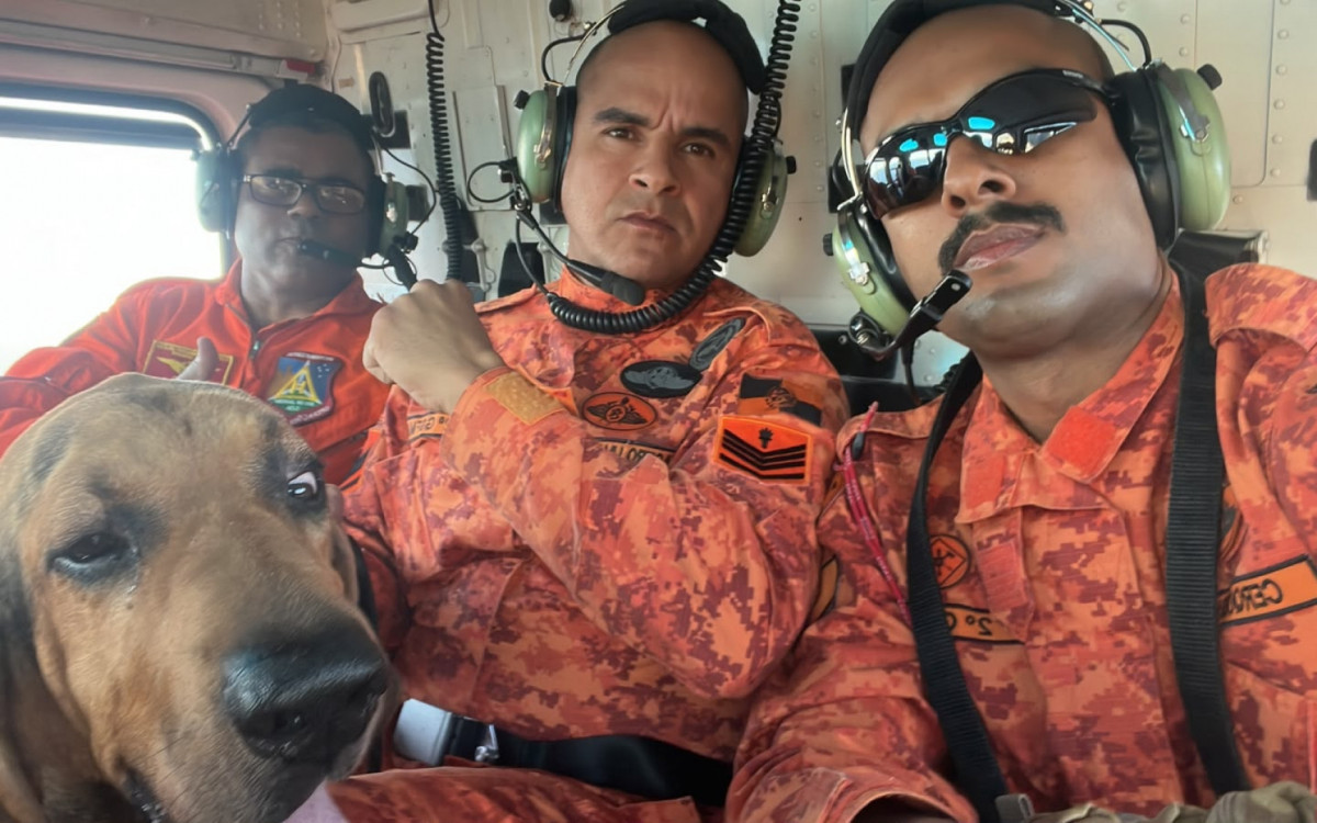 Operação de resgate ao caiçara