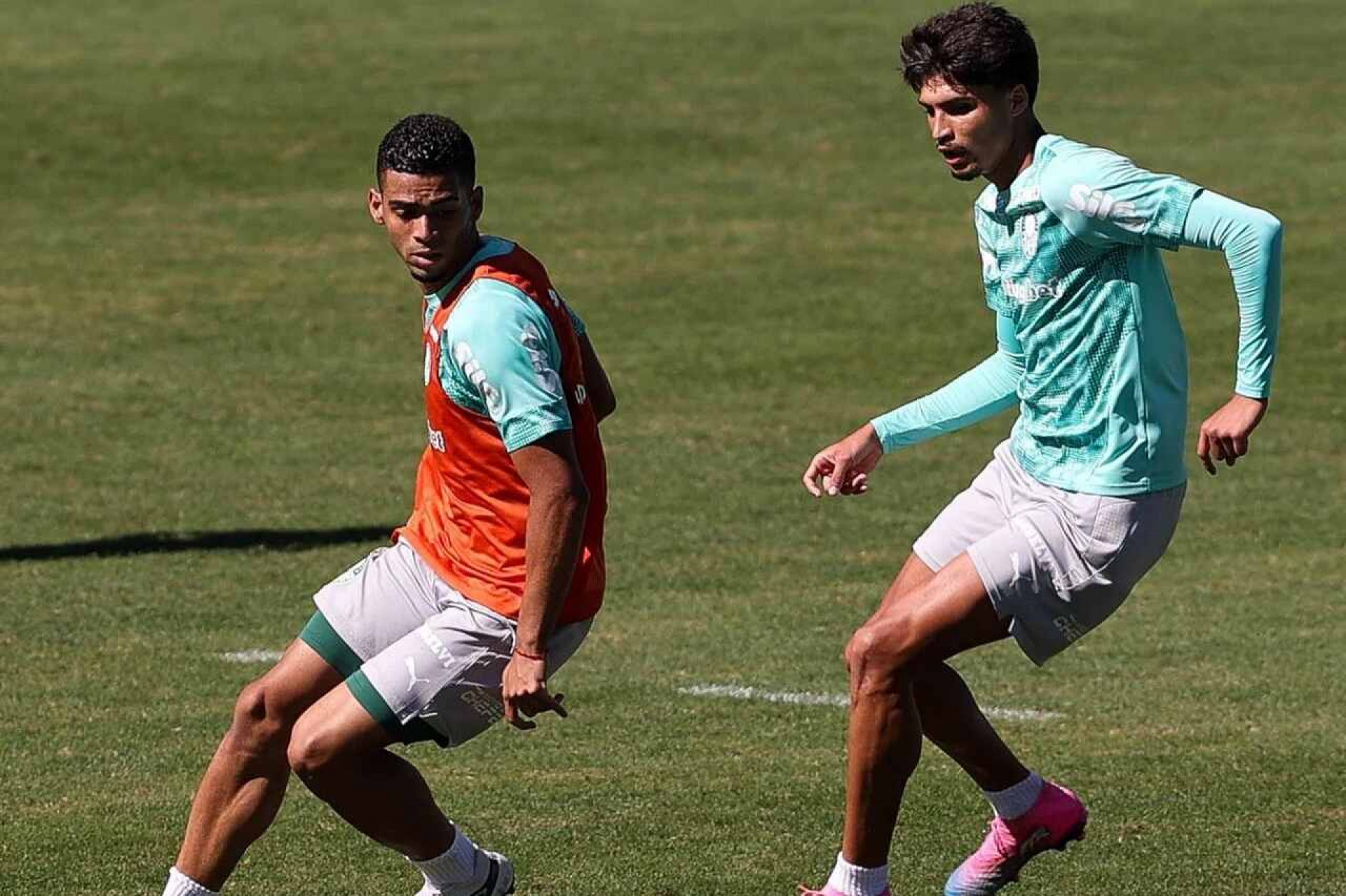 Palmeiras treina e Arthur projeta duelo contra o Coritiba pelo Brasileir&atilde;o