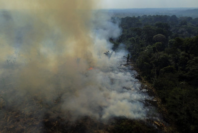 Incêndios na Amazônia caem ao menor nível histórico em 2025