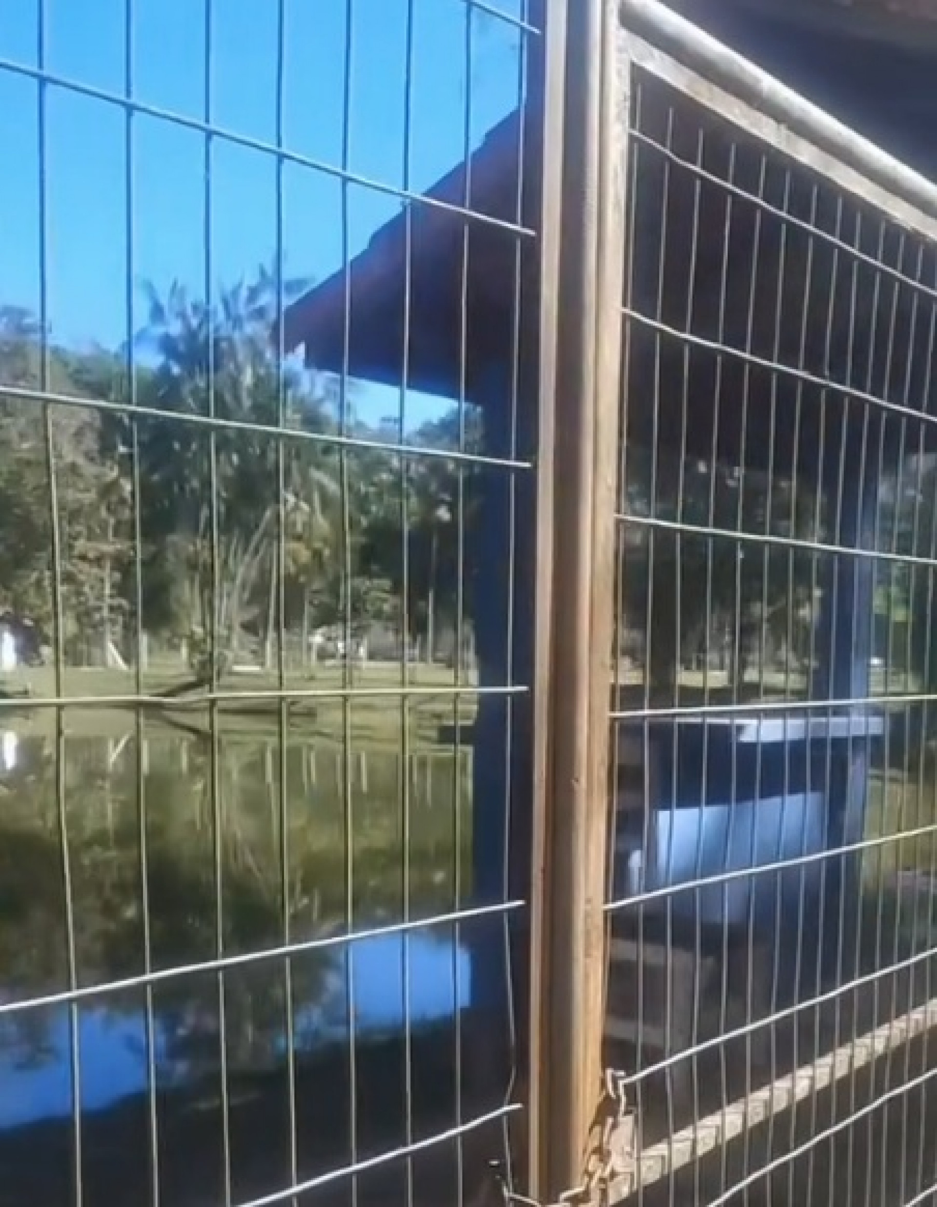 Moradores afirmam que o tanque de pesca, antes frequentado por fam&iacute;lias, hoje enfrenta abandono e falta de manuten&ccedil;&atilde;o - Foto: Reprodu&ccedil;&atilde;o V&iacute;deo Rede Social