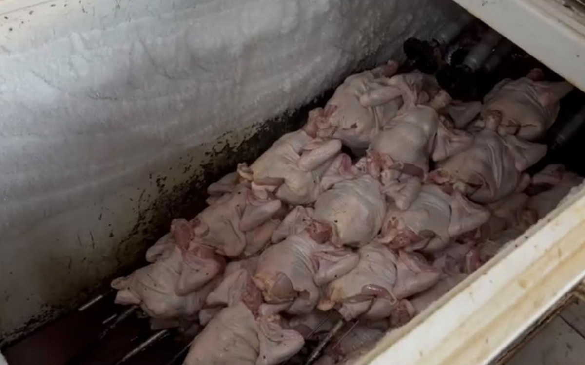 Procon Carioca afirma que havia alimentos armazenados de maneira irregular