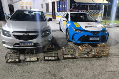 BPRv apreende seis aves silvestres durante fiscalização na RJ-145, em Piraí