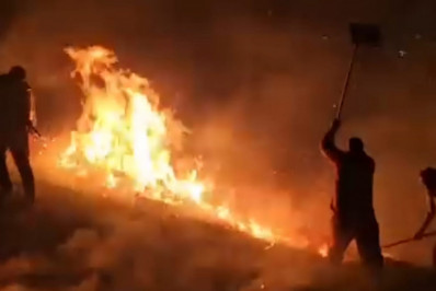 Força-tarefa controla incêndio em área de reflorestamento na Serra do Vulcão