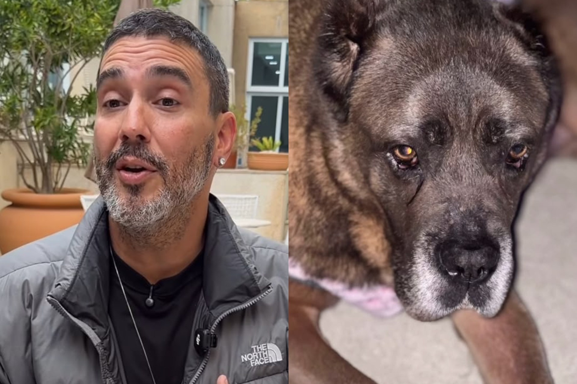 André Marques transforma cinzas de cachorra em diamantes - Reprodução / Instagram