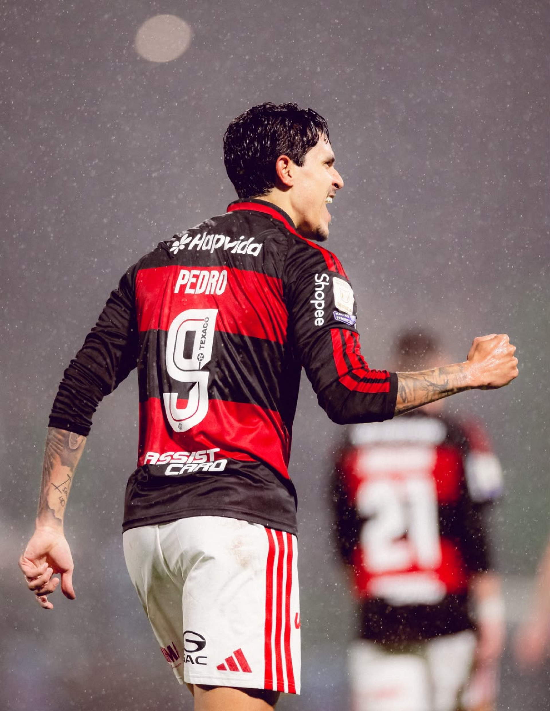 Comemora&ccedil;&atilde;o de Pedro em Chapecoense x Flamengo - Adriano Fontes/Flamengo