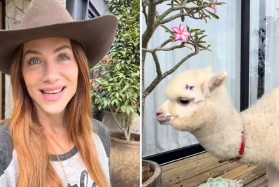 Giovanna Ewbank presenteia filho com alpaca de aniversário