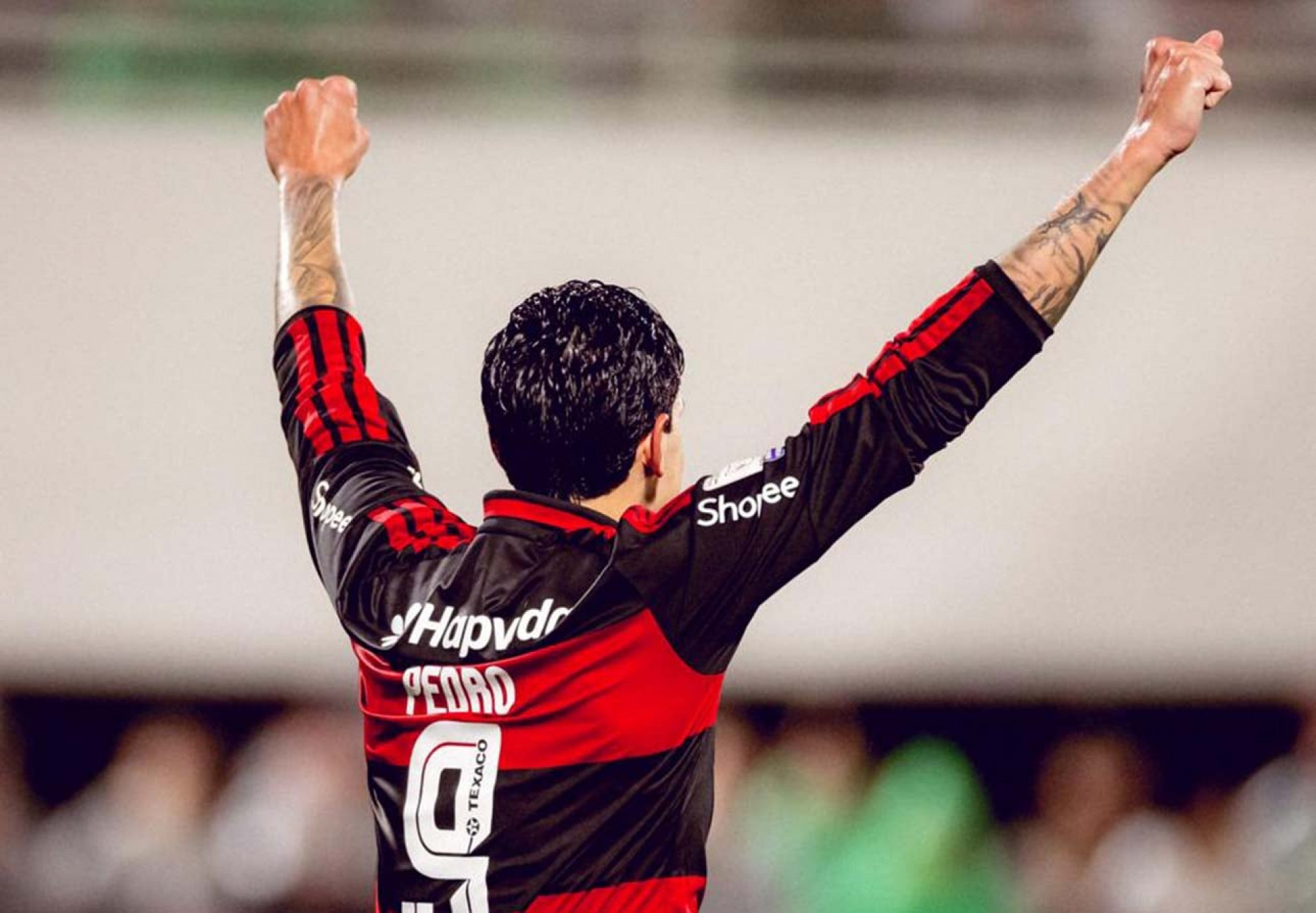 Pedro, do Flamengo, se aproxima da artilharia do Brasil em 2026