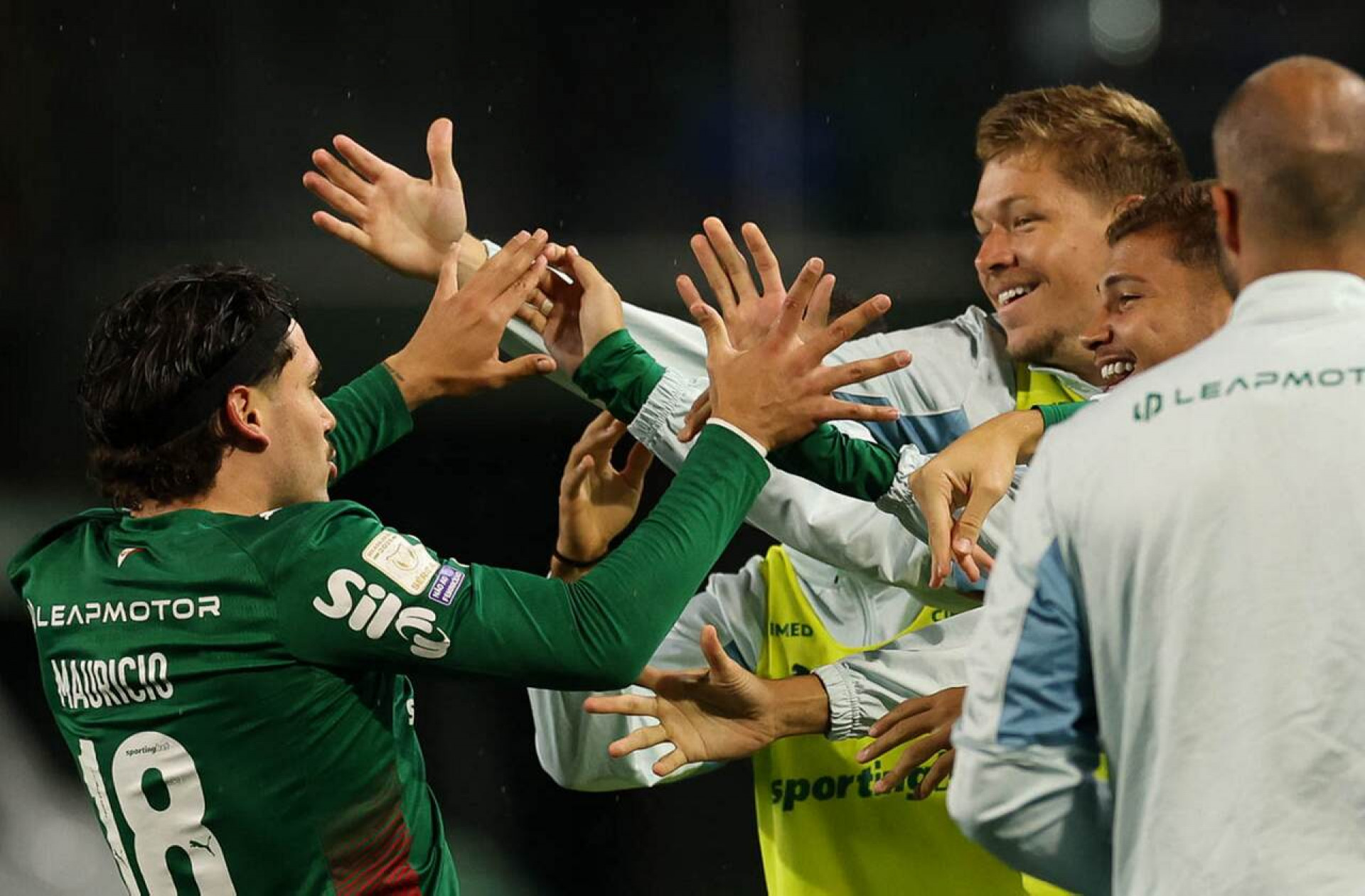 Palmeiras tem mais de 52% de chance de ser campe&atilde;o brasileiro, diz levantamento