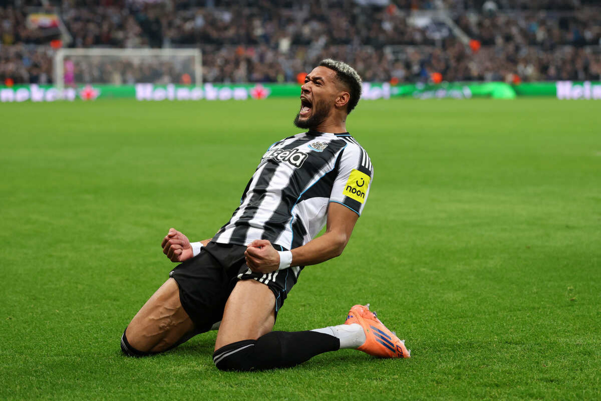 Sem dinheiro em caixa, Newcastle pode negociar Joelinton com a Ar&aacute;bia Saudita