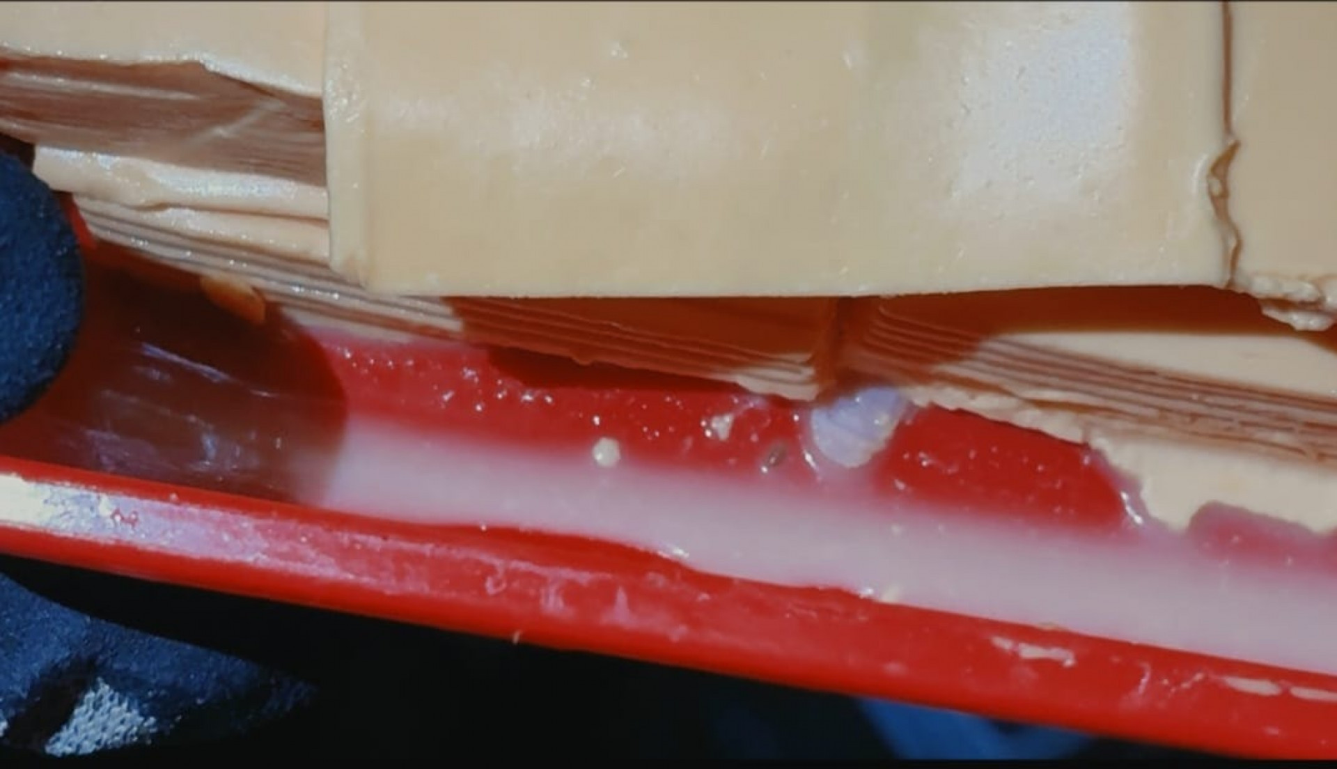 Queijos e outros alimentos impróprios para consumo foram descartados durante a fiscalização do IVISA-Rio - Carolina Castanho/ Subprefeitura da Zona Sul