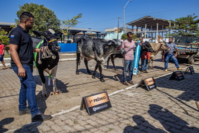 Leilão na Expo Macaé impulsiona negócios e movimenta cerca de R$ 2 milhões