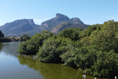 Rio amplia proteção de manguezais com novas áreas ambientais
