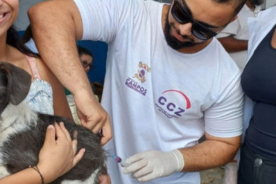 CCZ alerta donos de animais para vacinar contra a raiva