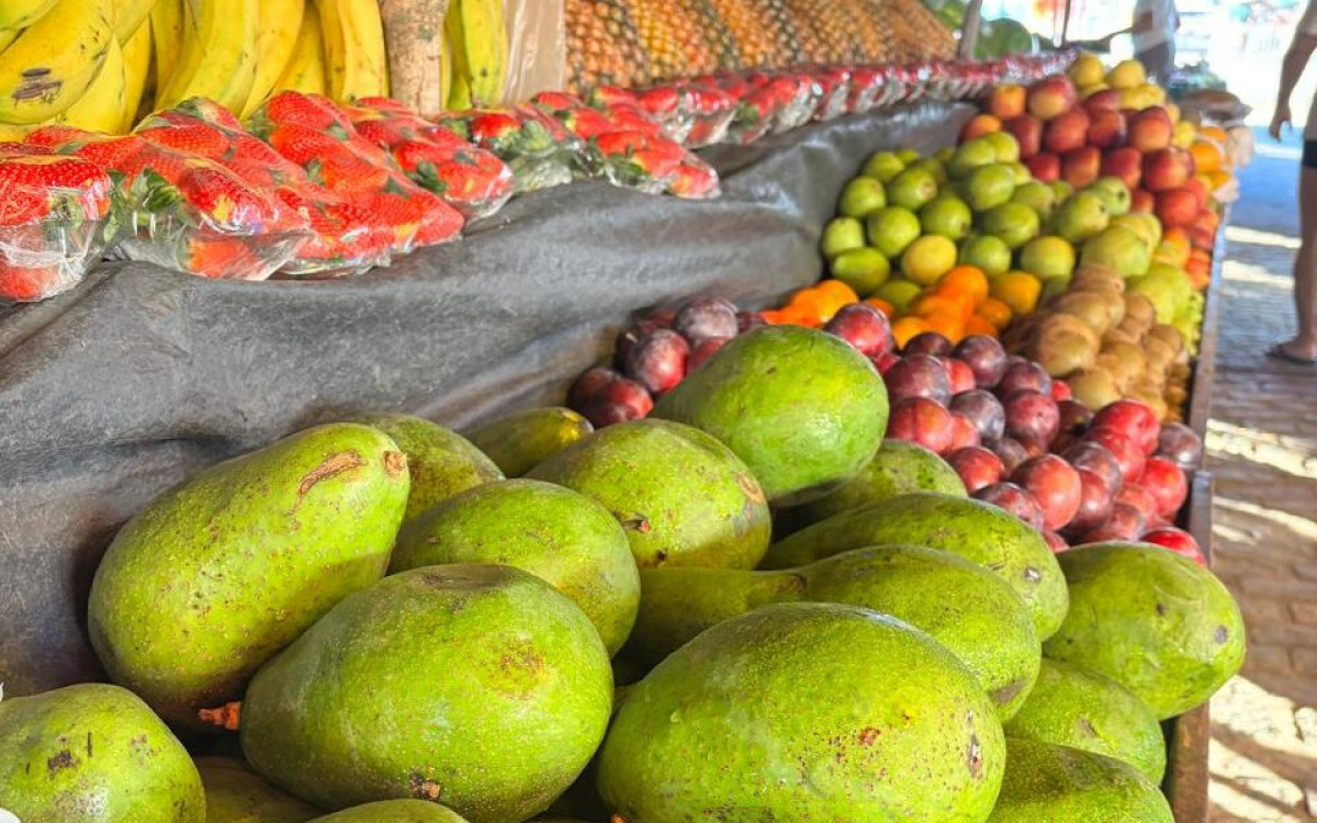 Saquarema fortalece agricultura familiar com apoio ao produtor