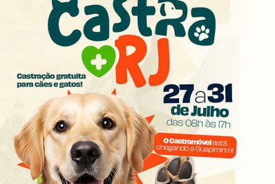 Guapimirim promove mutirão gratuito de castração de cães e gatos