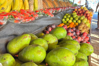 Saquarema fortalece agricultura familiar com apoio ao produtor