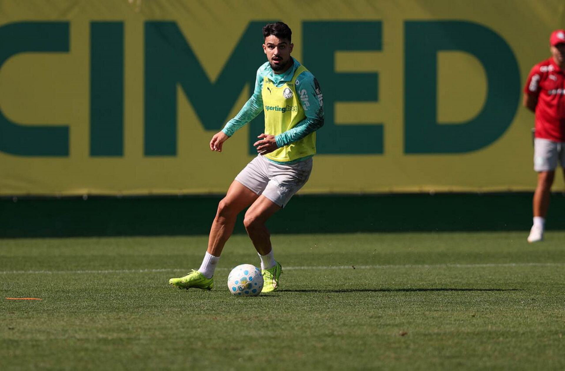 Palmeiras ganha cinco refor&ccedil;os e pode ter mudan&ccedil;as contra o Vit&oacute;ria