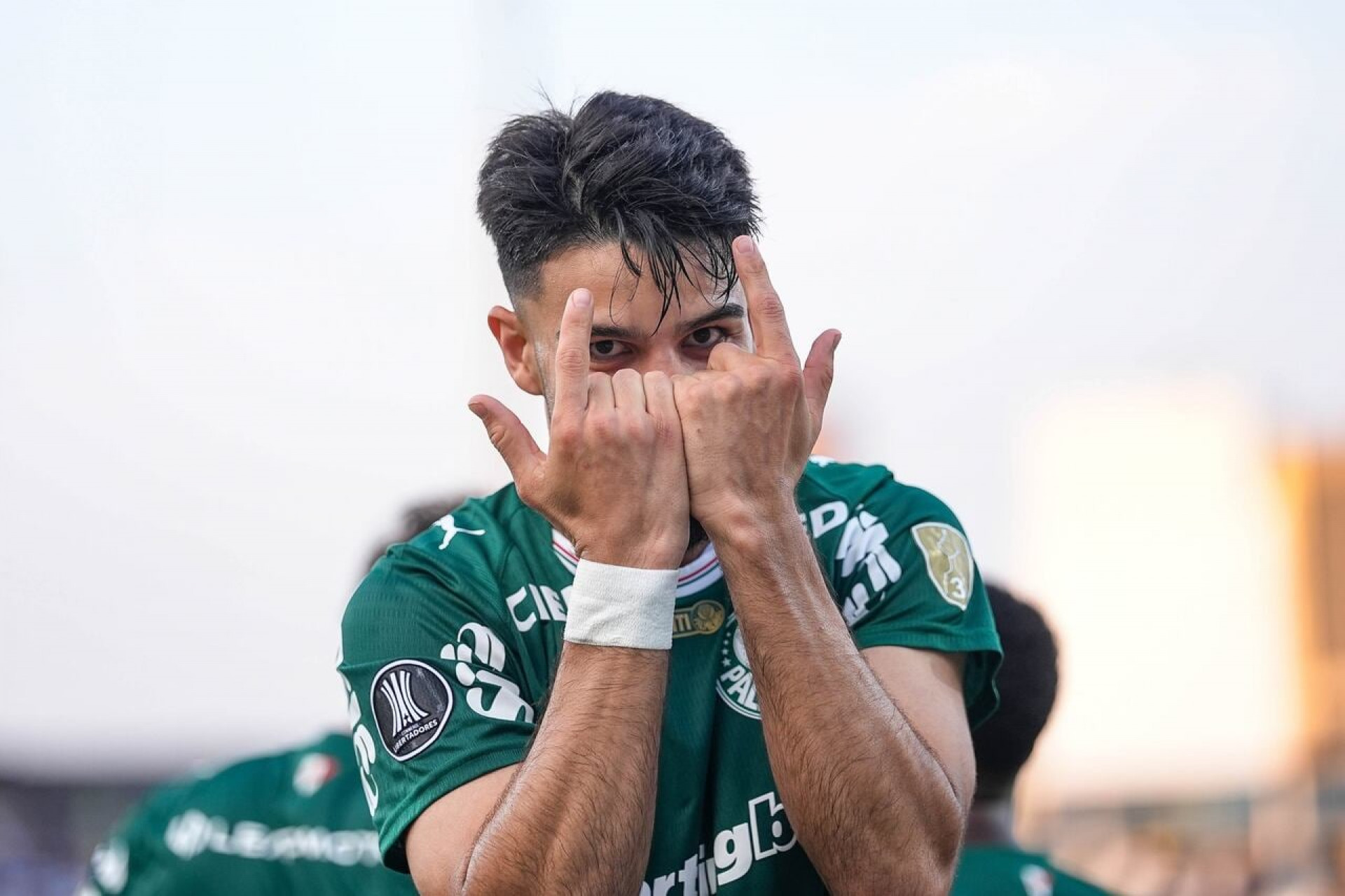 Paulinho desfalca o Palmeiras no duelo contra o Vit&oacute;ria