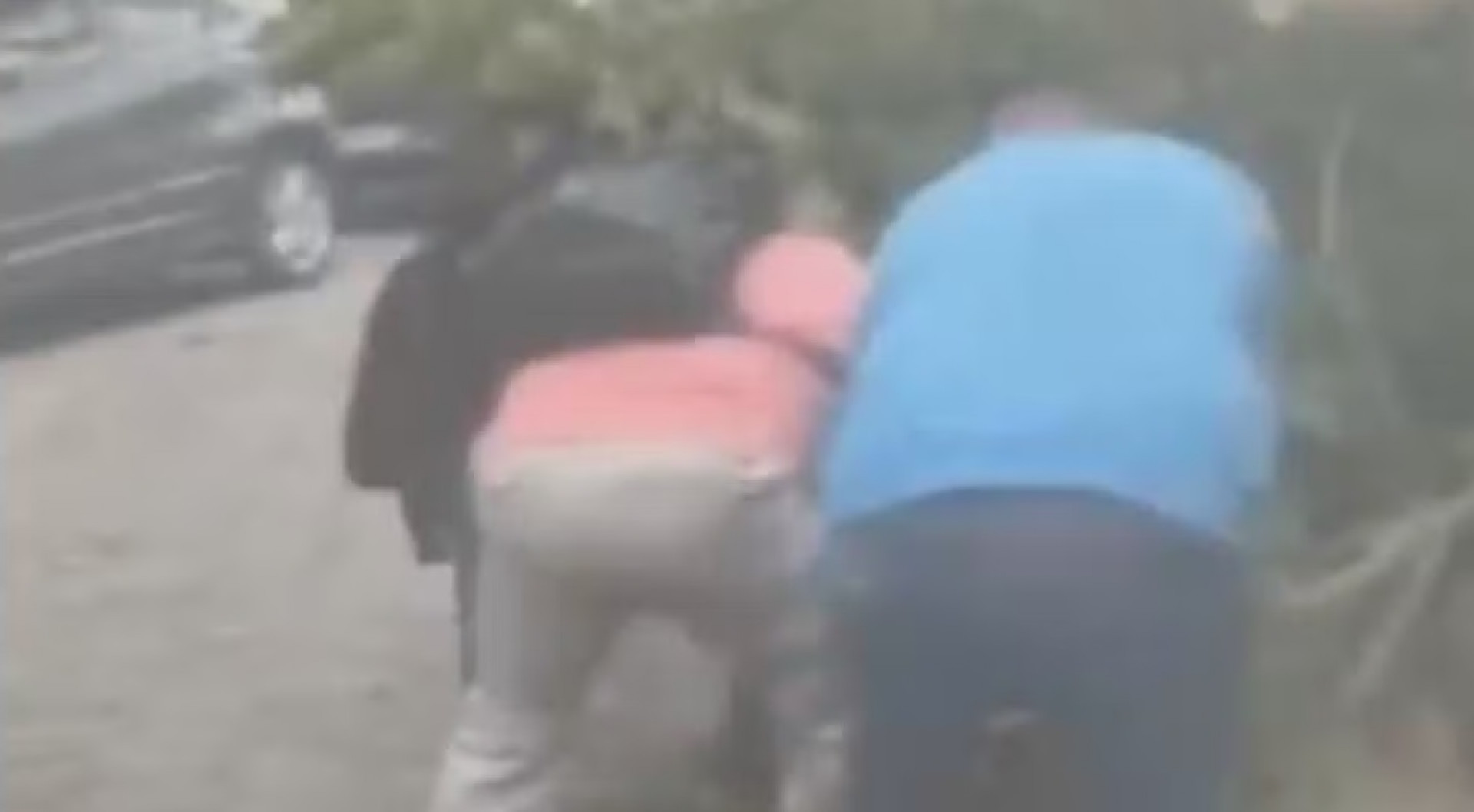 Mulher é atingida por árvore na Fiocruz - Reprodução Redes Sociais