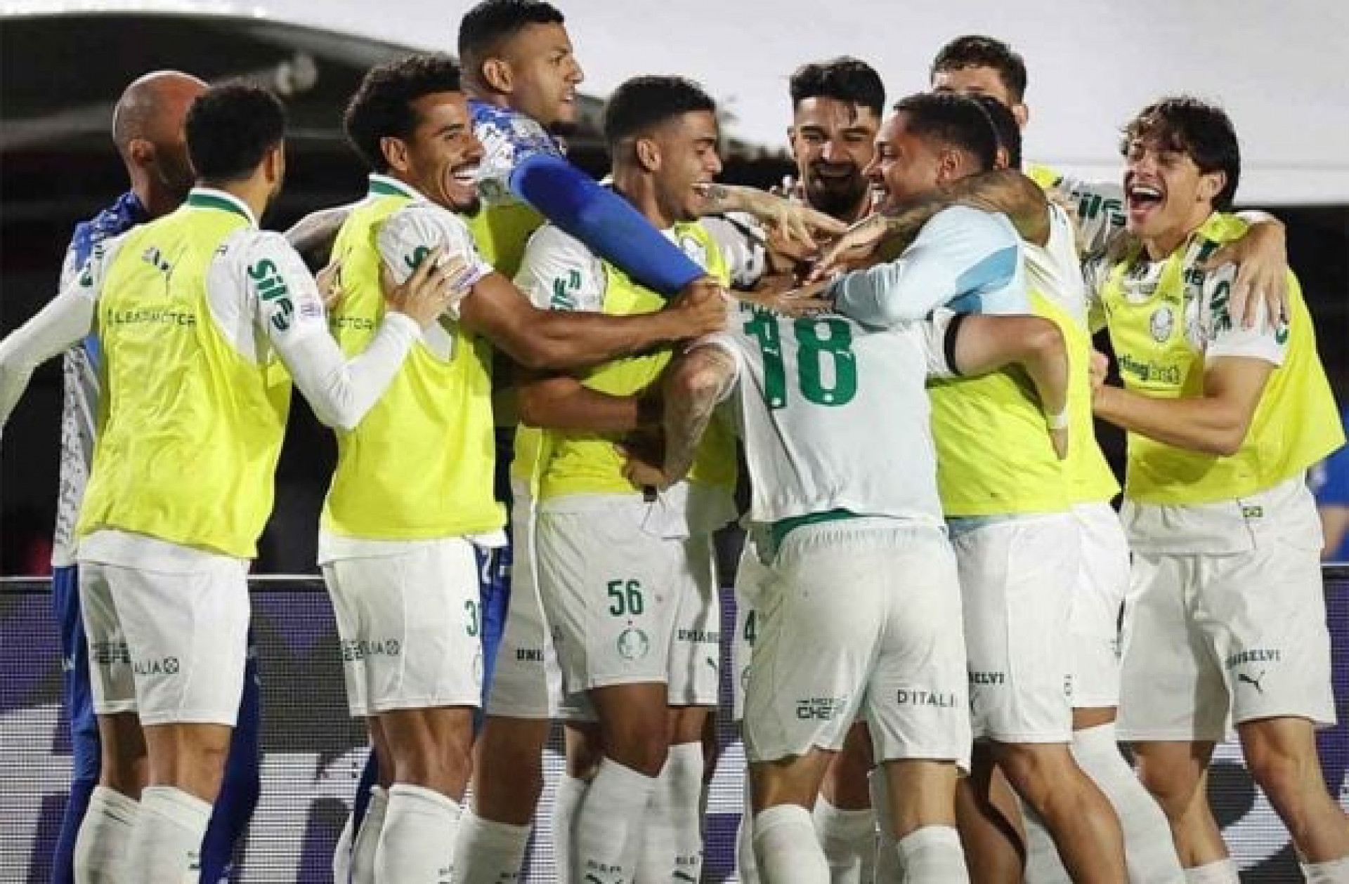 Com pol&ecirc;mica de arbitragem, Palmeiras goleia o Vit&oacute;ria e dispara na lideran&ccedil;a